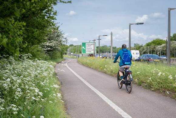 TfL more than doubles roadside area to be managed as wildflower verges following successful trials: TfL Image - White wildflowers on path