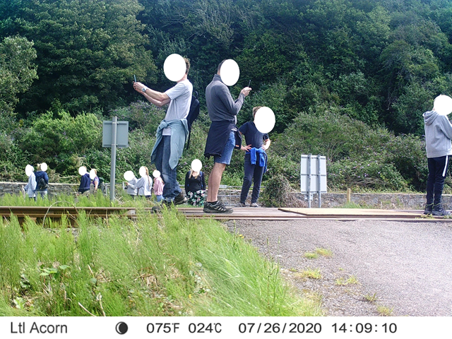 Rail partnership warns against dangers of level crossing misuse following shocking ‘railway selfie’ craze: jQgNgCiN