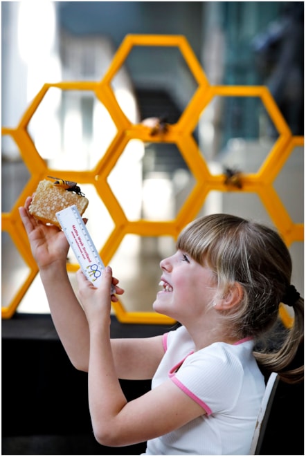 Caela Callander (7) examines geometric honeycomb ahead of Maths Week Scotland 2025. Photo © Paul Dodd 3
