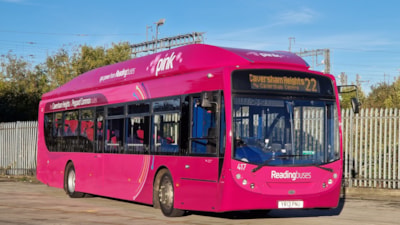 Council Steps in to Save Pink 22