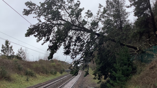 Plan ahead: Scotland’s Railway braces for a stormy weekend: Tree down at Livingston