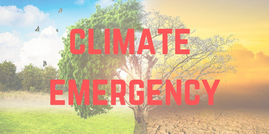 Climate Emergency | Cotswold District Council News