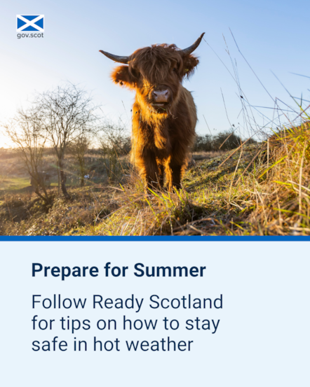 Highland Cow - Portrait - Hot Weather - SG Resilience - June 2025