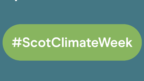 Poster, Digital Screen and Website Banner