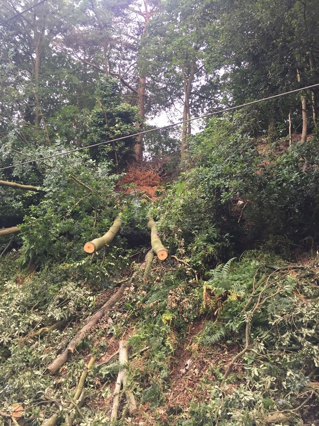 Cross City line south reopens after tree removal and embankment repairs: Cross City line second tree fallen