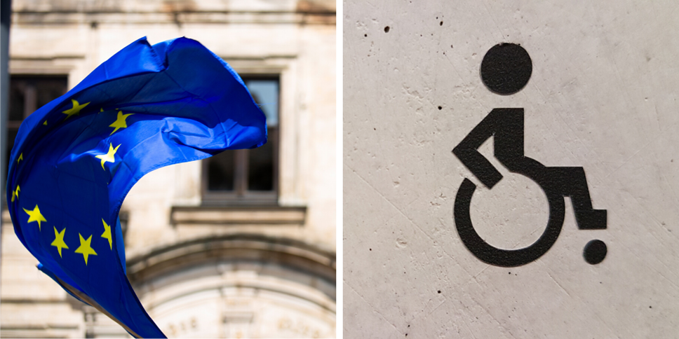 EU disability-2