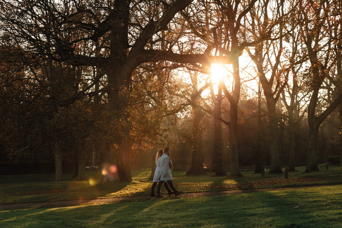 Gunton Hall Grounds