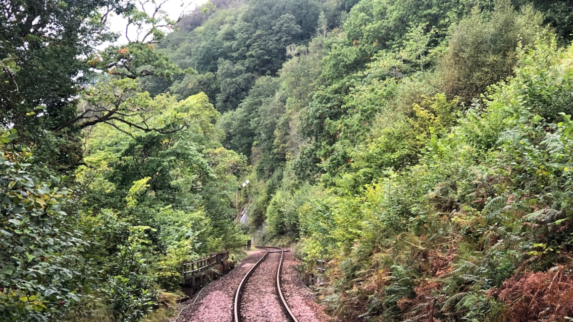 Network Rail to begin tree and vegetation management on iconic West Highland Line: West Highland Line track