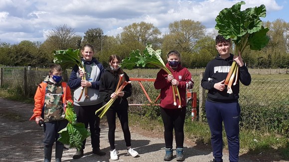 Councillors use funds to help create a cleaner, greener and healthier Hertfordshire: Allotment 1200x675