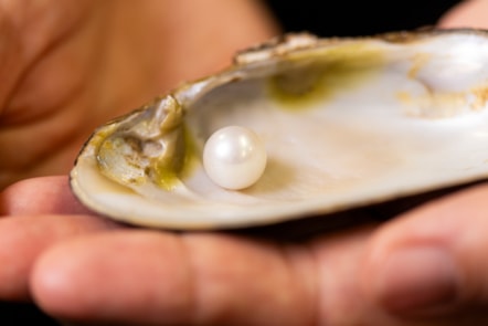 The Abernethy Pearl. Image copyright Duncan McGlynn (4)