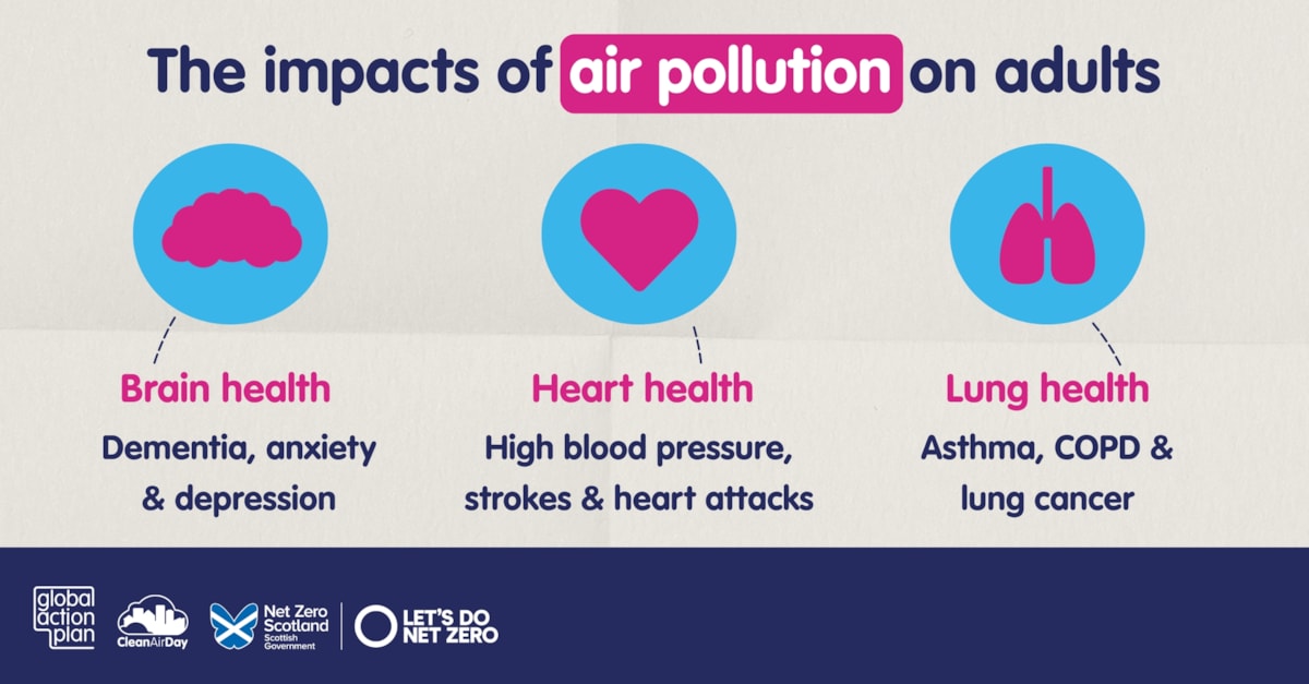 Adulthood - Landscape - Social Static - GAP SG - June 2025