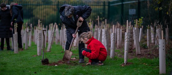 Students at Corley Academy planting trees donated by HS2 Ltd