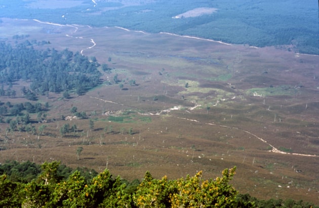 1 Invereshie and Inshriach (1973) ©NatureScot