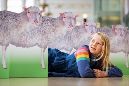 Edinburgh school pupil Connie Blacklaw (8), checks out a Dolly the Sheep-themed trail at the National Museum of Scotland, part of the programme for Maths Week Scotland, which starts today (Monday 25 September)-5 credit Duncan McGlynn