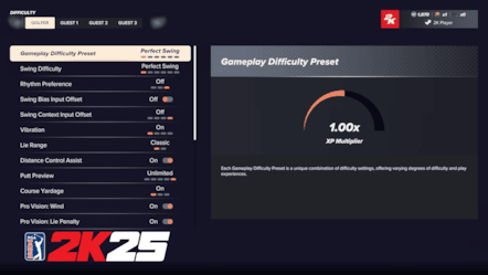 Perfect Swing Difficulty Setting