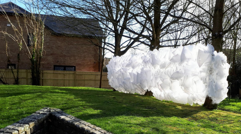 Image credit, Artist, Bea Last, The White Bags 2020