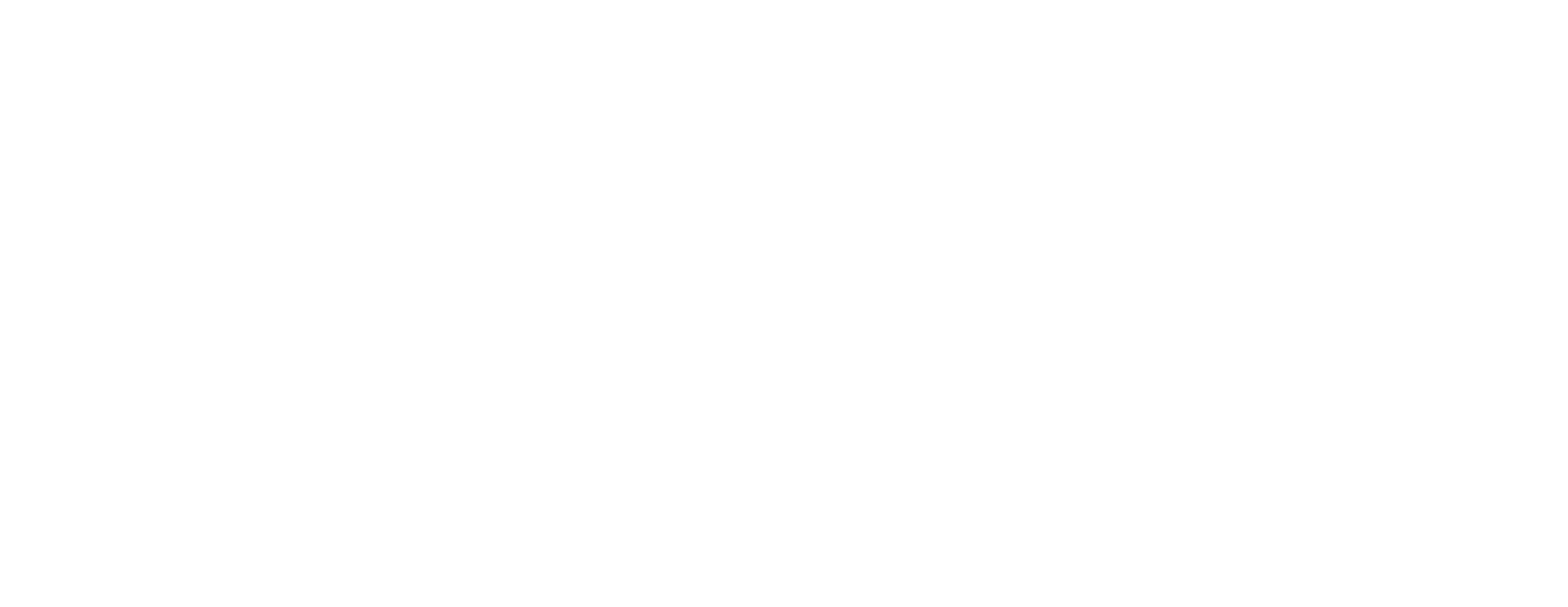 style network logo png