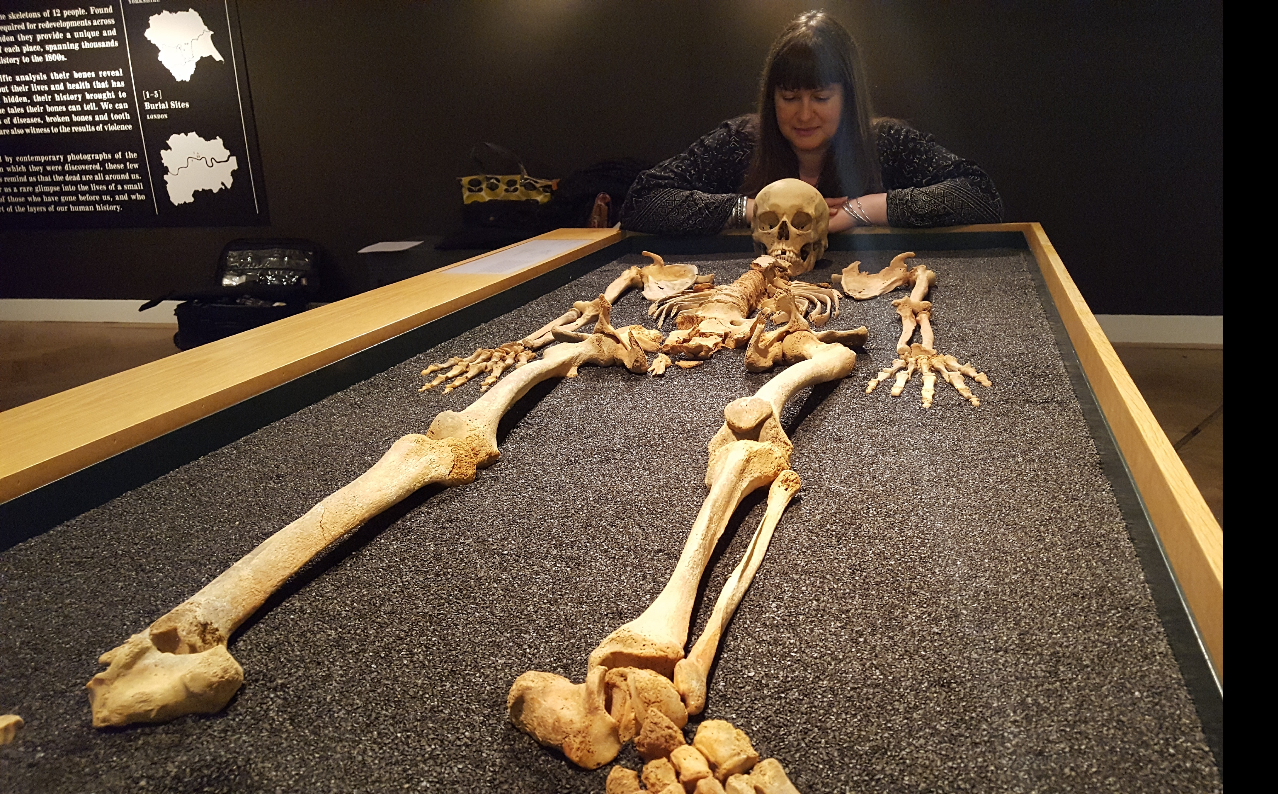 giant human skeleton museum