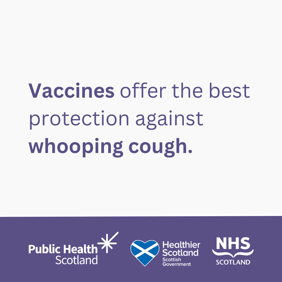 Whooping Cough - Asset 1 - May 2024