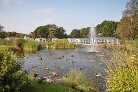 Lake view at Wild Duck