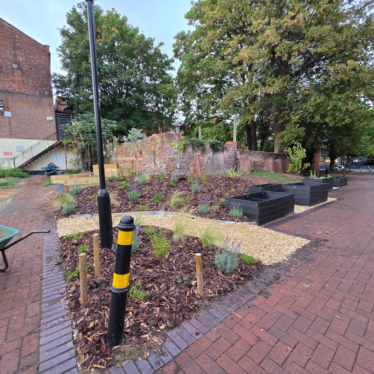 Community Garden 4