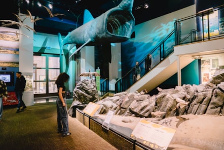 Natural History section of National Museum Cardiff.