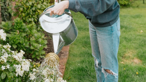 Dŵr Cymru Welsh Water thanks customers as water storage levels recover – but Temporary Hosepipe Ban remains in place: WELSH WATER LOW RES-91