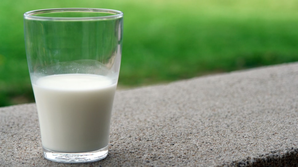 Milk-2