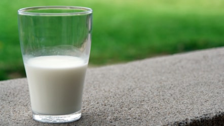 Milk-2