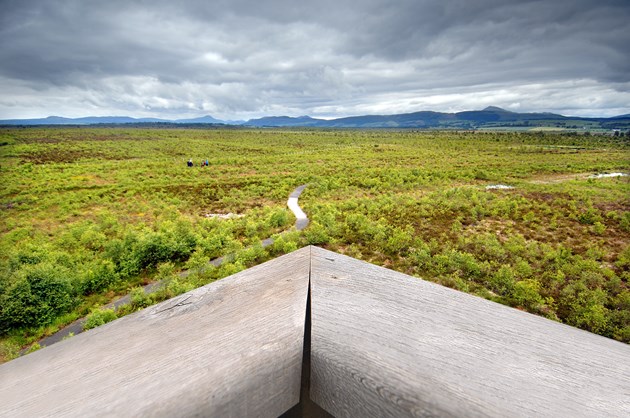 Huge volunteer effort hailed at National Nature Reserves: View from the tower at Flanders Moss NNR near Stirling © Dougie Barnett/SNH
