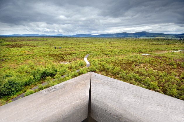 View from the tower at Flanders Moss NNR near Stirling © Dougie Barnett/SNH