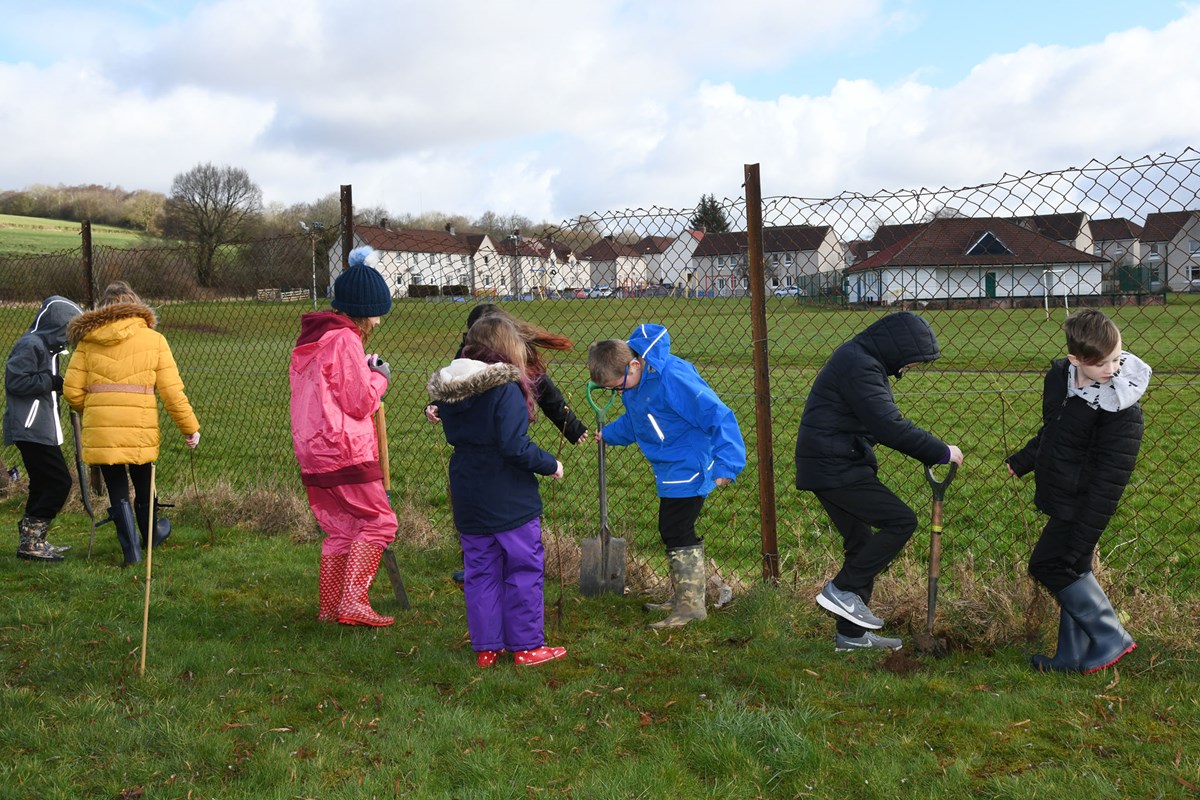 Newmilns PS tree planting