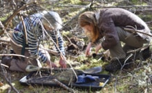 Endangered plant rescue. Copyright Richard Spowart/NatureScot: Large-scale collaborative action is needed to help Scotland’s endangered plant species, such as this recent rescue of the rare One-flowered Wintergreen (Moneses uniflora).