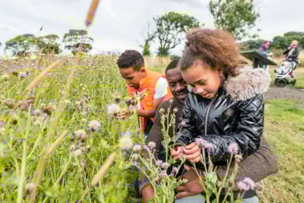 Families explore the National Museum of Rural Life. Image © Ruth Armstrong (11)
