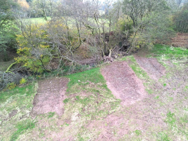 Ty Mawr wood 6