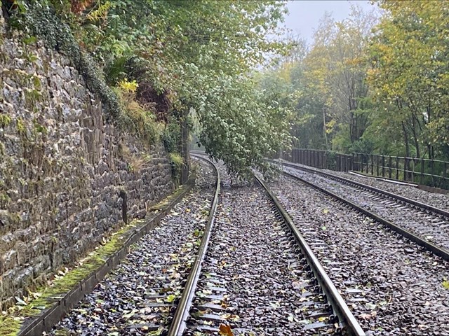 Fallen tree between Newcastle and Carlisle, Network Rail: Fallen tree between Newcastle and Carlisle, Network Rail