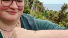 Encounter with Bordered Brown Lacewing (c) Nick Littlewood: Encounter with Bordered Brown Lacewing (c) Nick Littlewood