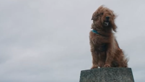 BBC Storyworks - Scotland 2025 - Hero Film