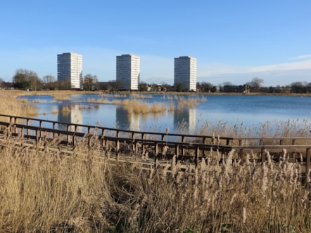 woodberrywetland-2.jpg