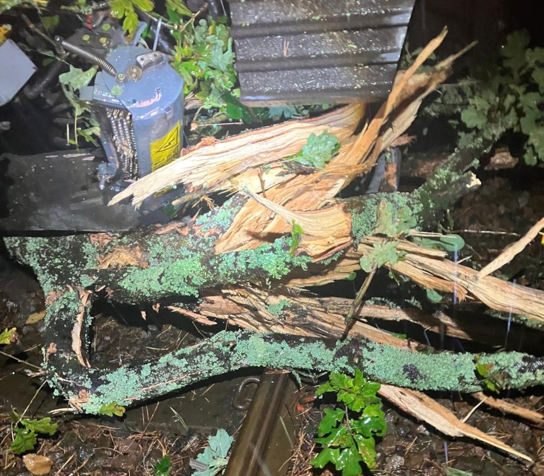 Damaged coupler on train - Branches wedged below a train in Bournemouth, which has damaged the train's coupler (top left, with electrical warning label).
