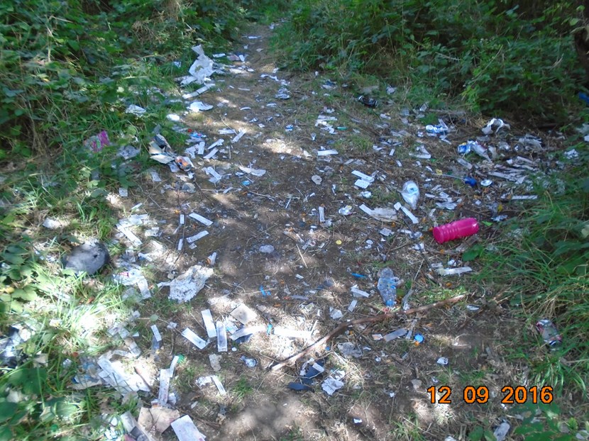 Landowner fined for letting dangerous waste build up near nursery: dsc03178.jpg