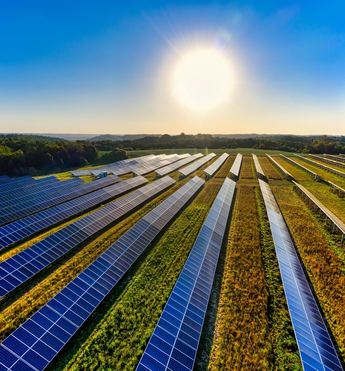 solar farm sunny day