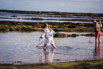 Berwick beach rock pool play