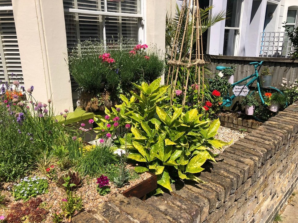 Islington in Bloom's Best Front Garden prize winner in 2020 was Pamela Berham