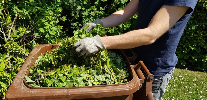 Brown bin collections for 2023 to start in Leeds from next week: Brown bins