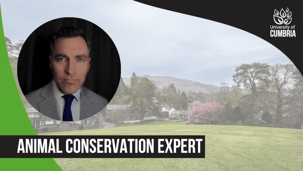 Bob Montgomery - Expert profile