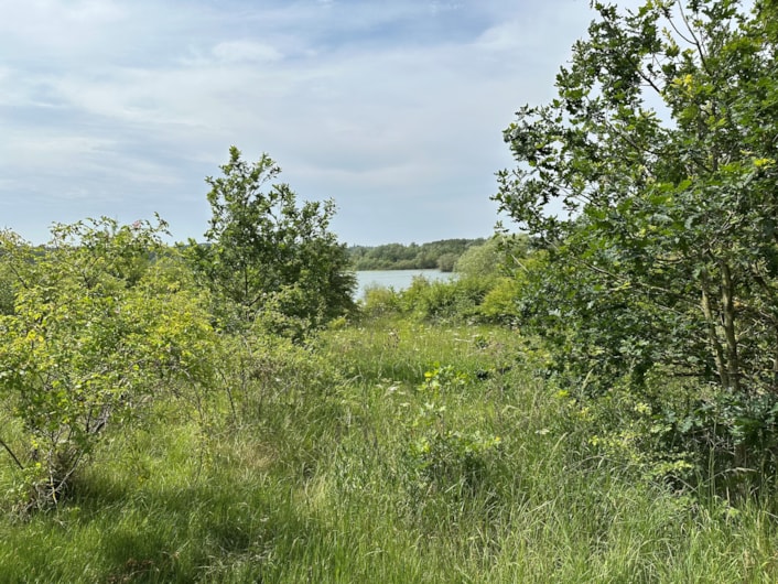Skelton Lake: Skelton Lake is one of the green spaces where biodiversity will be boosted, improving wildlife habitats for different species.