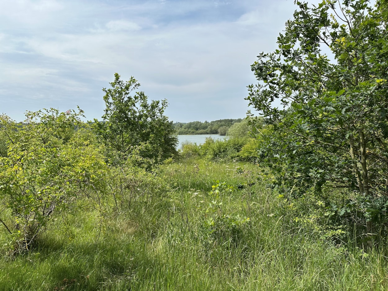 Skelton Lake: Skelton Lake is one of the green spaces where biodiversity will be boosted, improving wildlife habitats for different species.