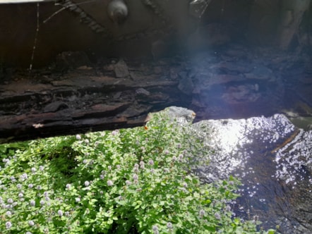 Lea Bridge corrosion