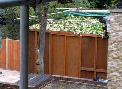 sukkah01a.jpg